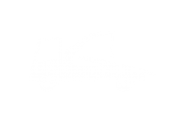 RECALL POLICY